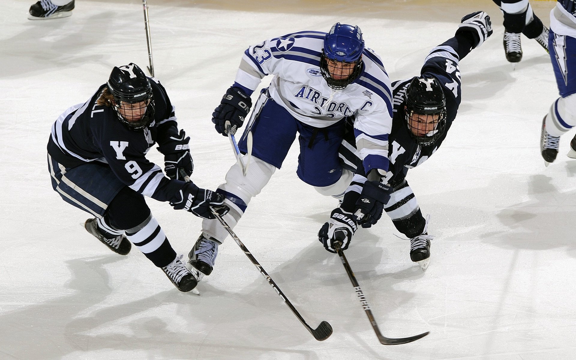 篮球青训体系人才培养成效显著，篮球人才培养方案